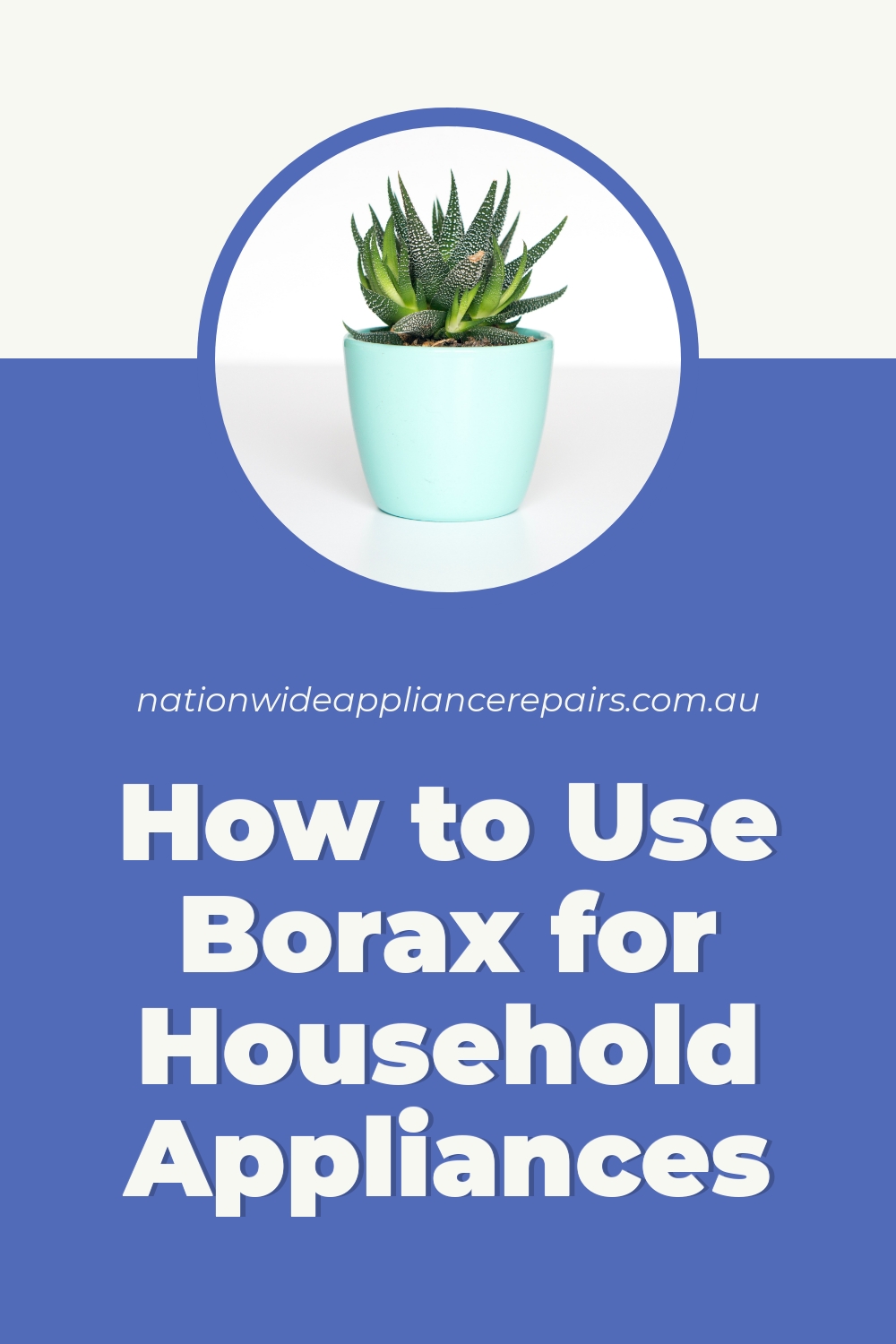 How to Use Borax for Household Appliances NWAR